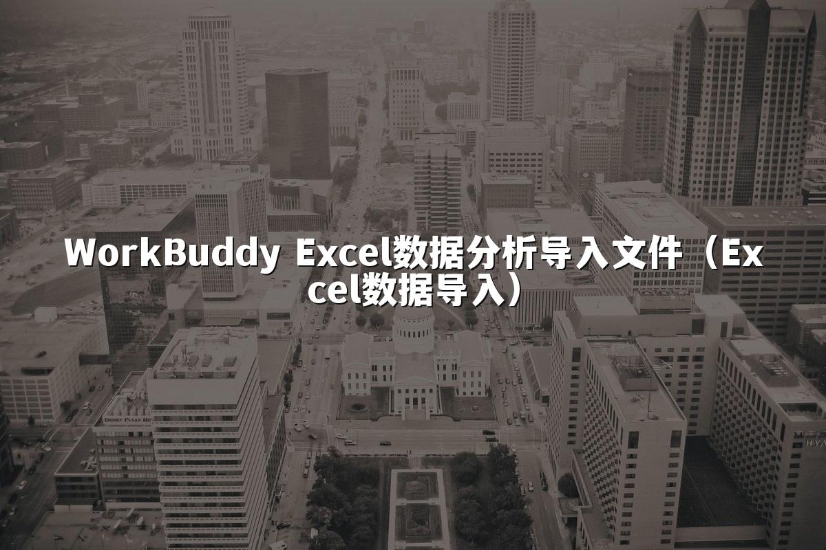 WorkBuddy Excel数据分析导入文件（Excel数据导入）