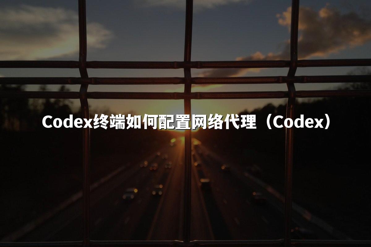 Codex终端如何配置网络代理（Codex）