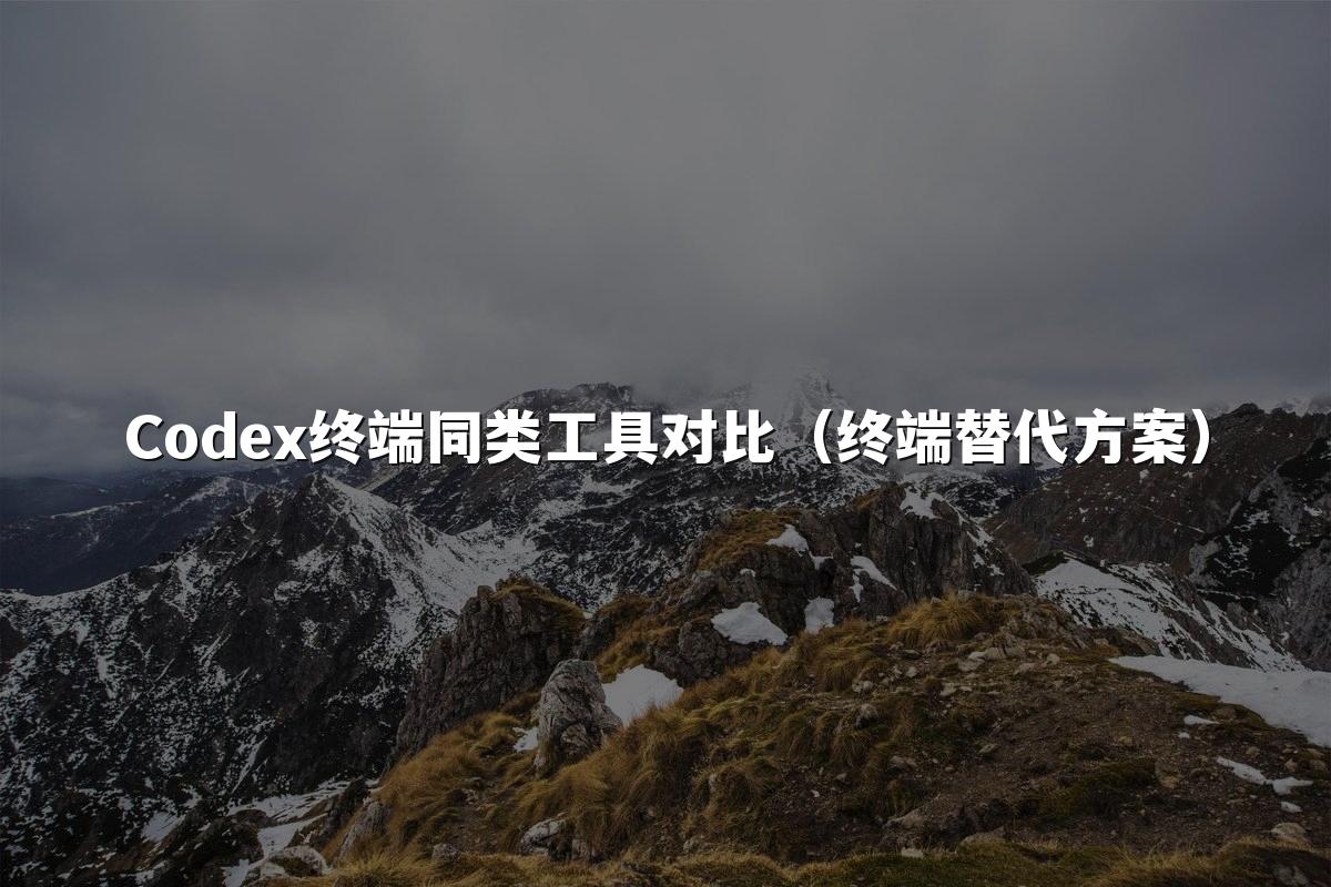 Codex终端同类工具对比（终端替代方案）