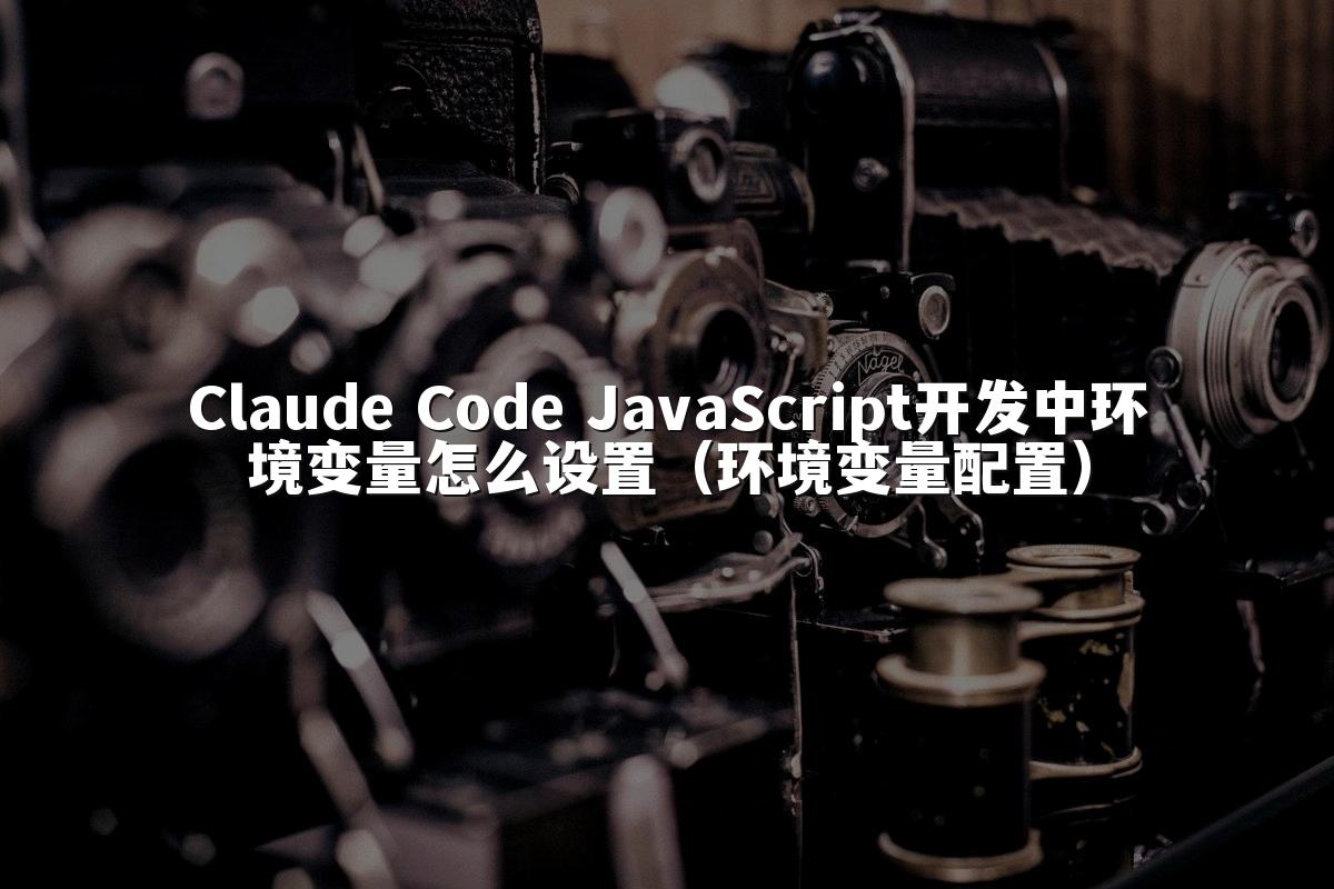 Claude Code JavaScript开发中环境变量怎么设置（环境变量配置）