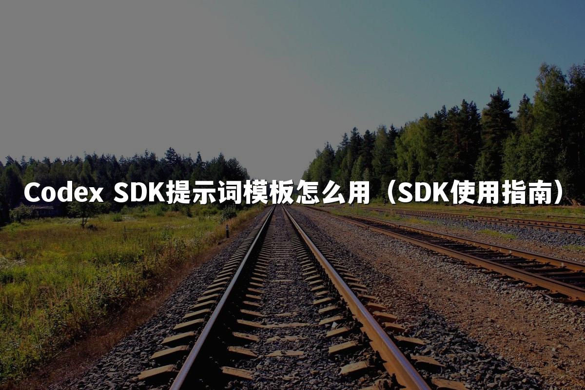 Codex SDK提示词模板怎么用（SDK使用指南）