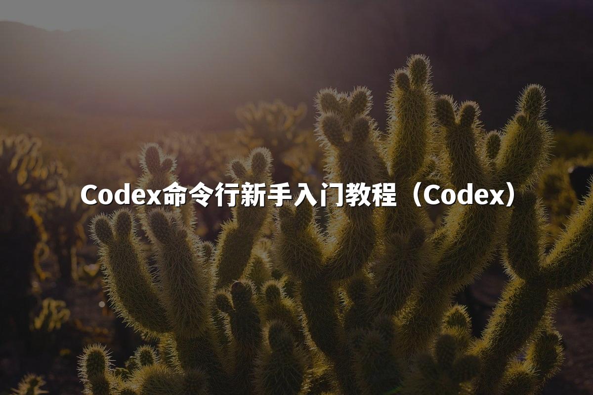 Codex命令行新手入门教程(Codex)