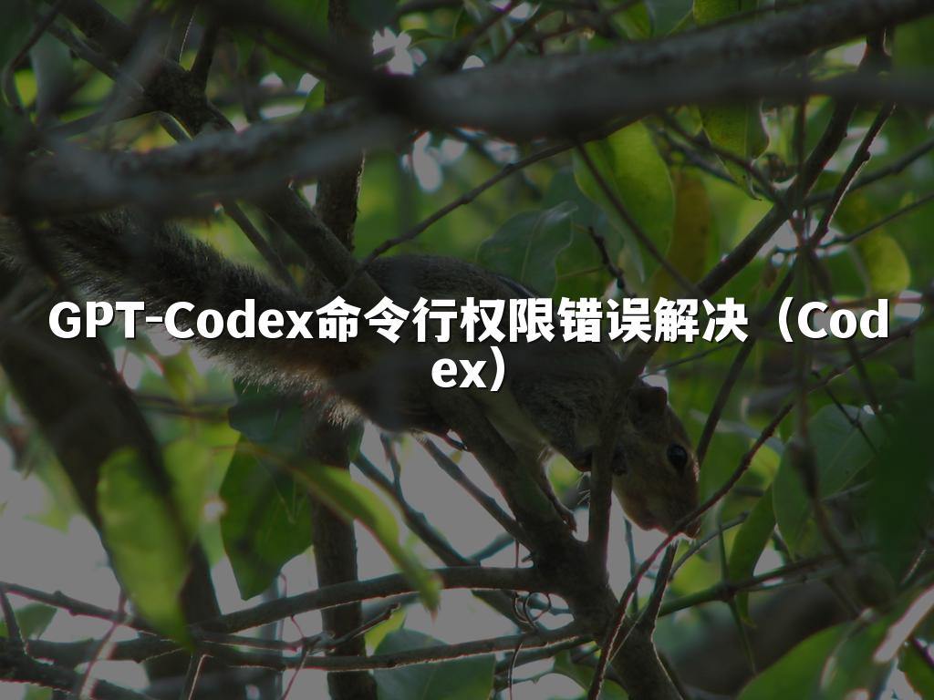 GPT-Codex命令行权限错误解决(Codex)