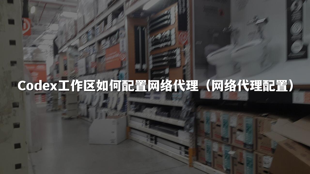 Codex工作区如何配置网络代理（网络代理配置）