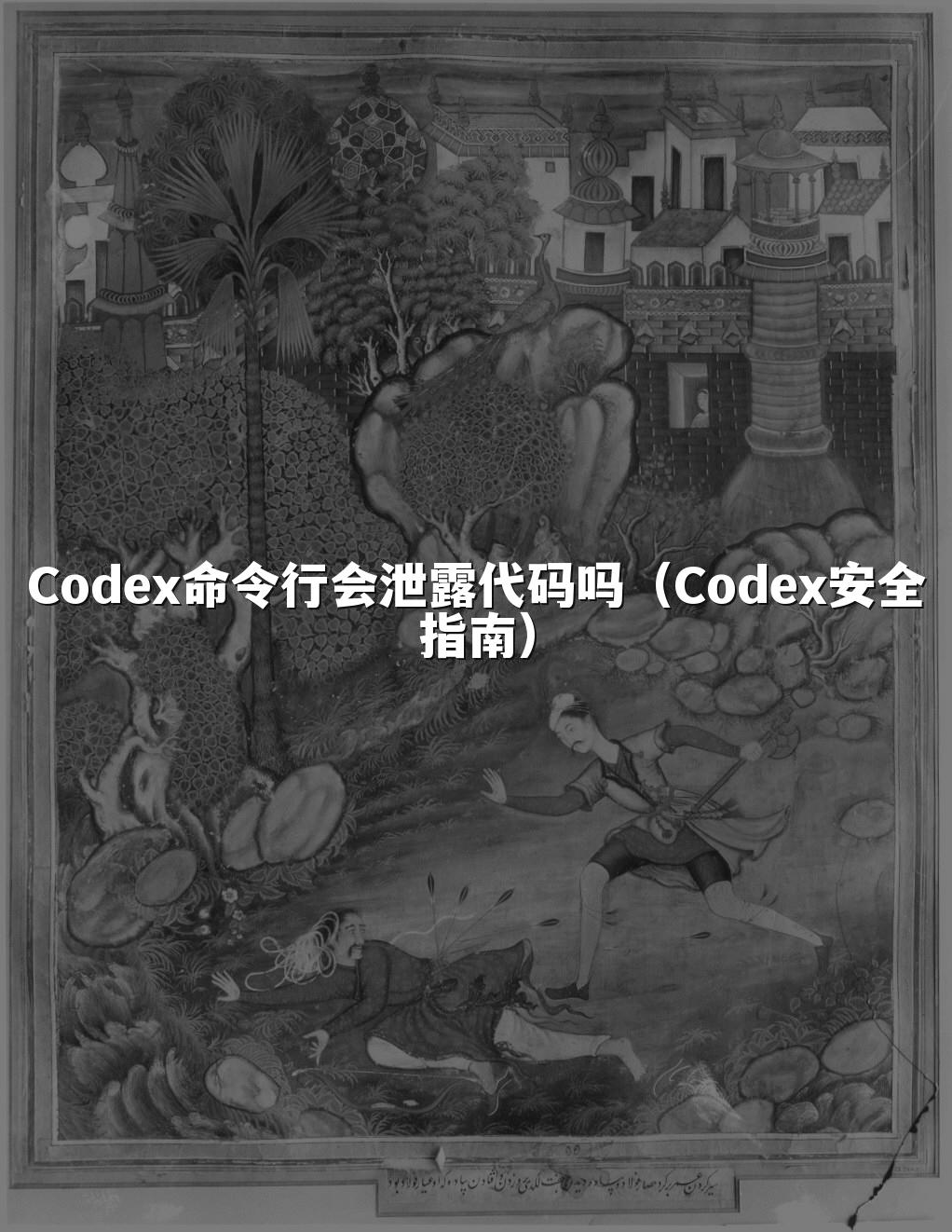 Codex命令行会泄露代码吗(Codex安全指南)