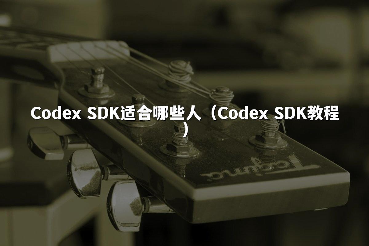Codex SDK适合哪些人(Codex SDK教程)