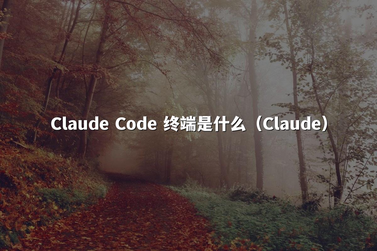Claude Code 终端是什么（Claude）
