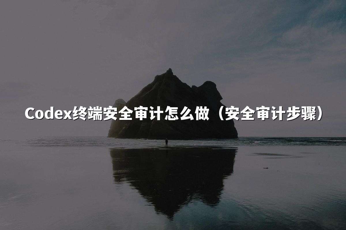 Codex终端安全审计怎么做（安全审计步骤）