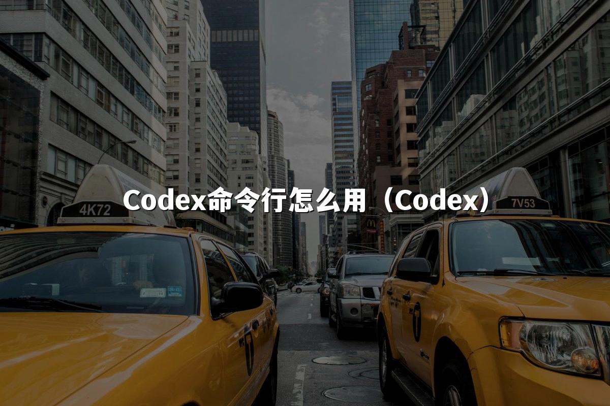Codex命令行怎么用(Codex)