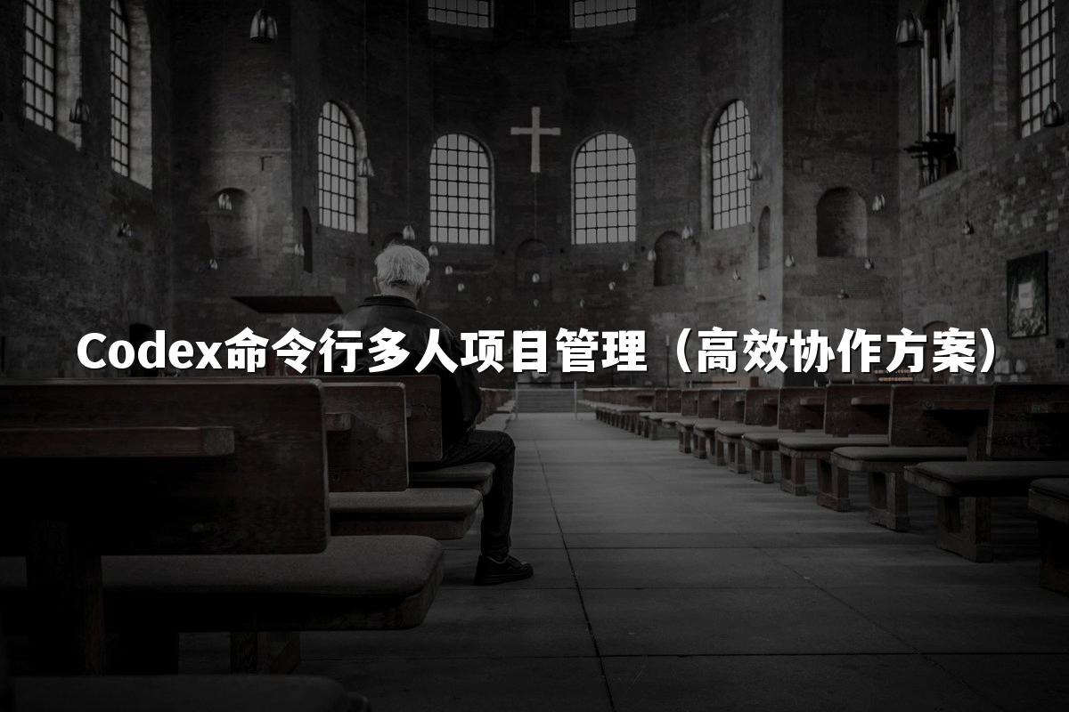 Codex命令行多人项目管理（高效协作方案）