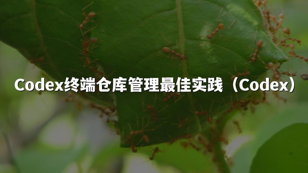 Codex终端仓库管理最佳实践（Codex）
