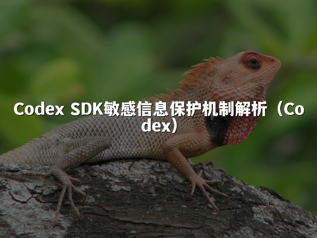 Codex SDK敏感信息保护机制解析(Codex)