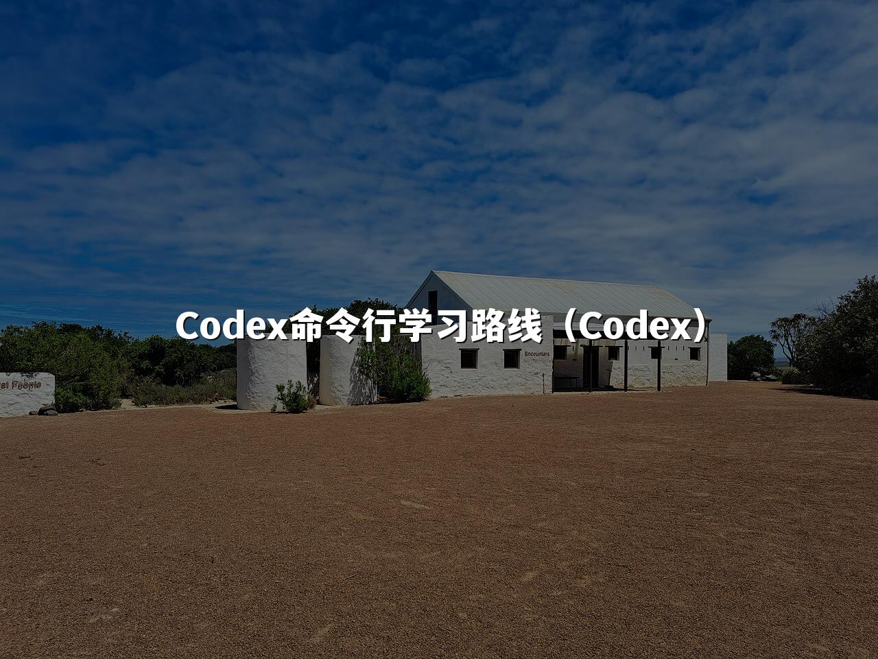 Codex命令行学习路线（Codex）