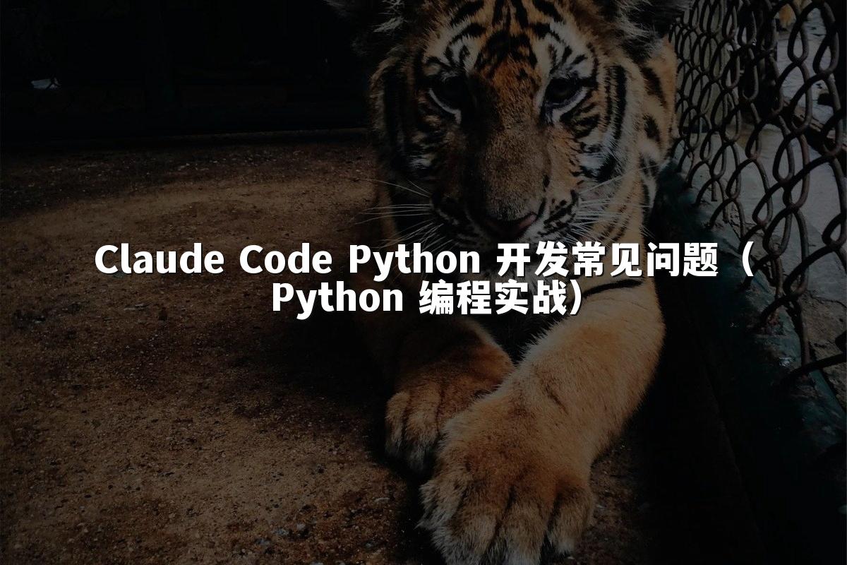 Claude Code Python 开发常见问题（Python 编程实战）