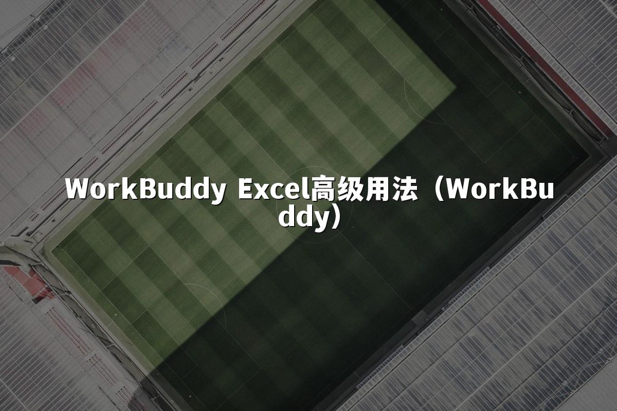 WorkBuddy Excel高级用法(WorkBuddy)