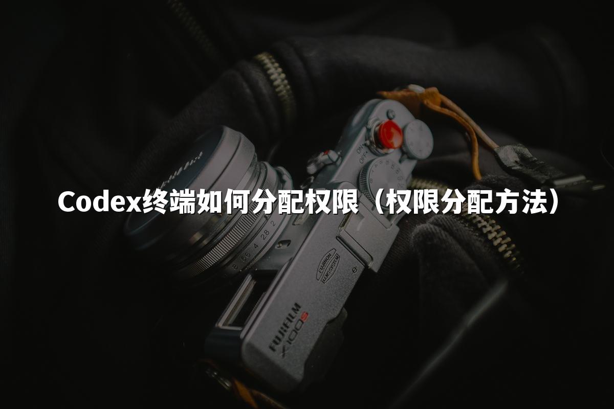 Codex终端如何分配权限（权限分配方法）