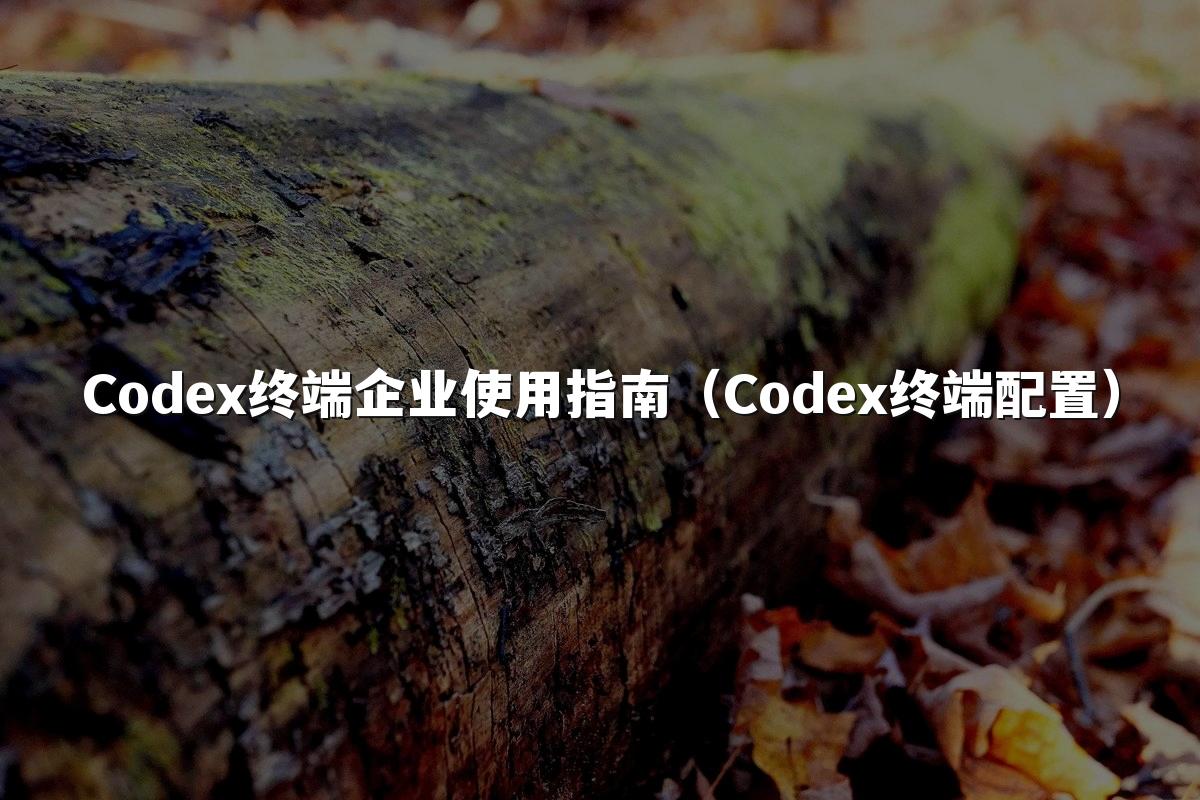 Codex终端企业使用指南（Codex终端配置）