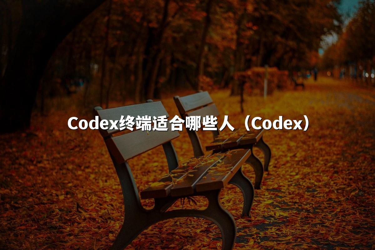 Codex终端适合哪些人(Codex)