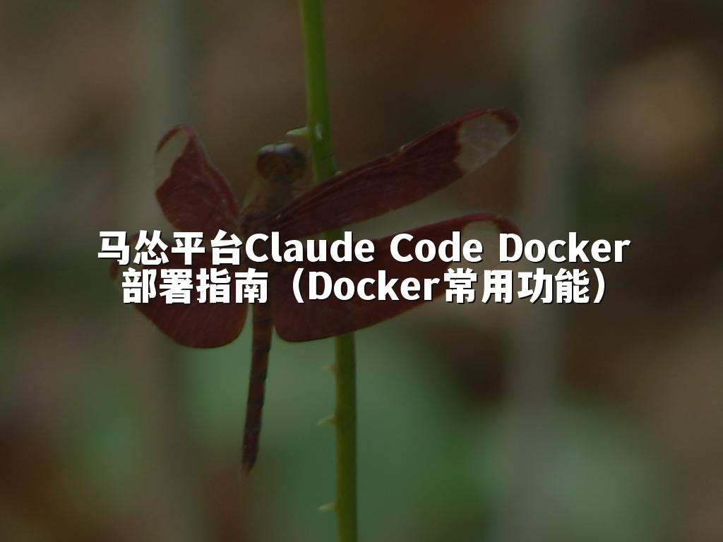 马怂平台Claude Code Docker部署指南(Docker常用功能)