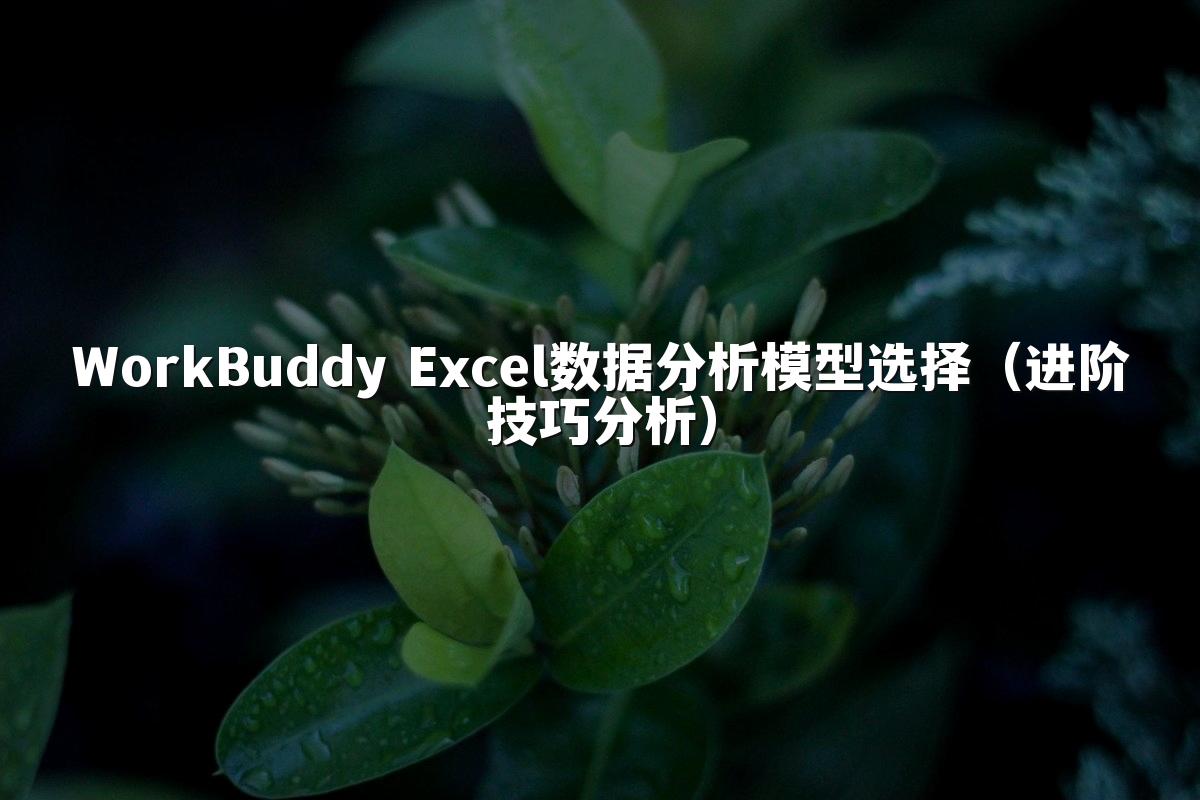 WorkBuddy Excel数据分析模型选择(进阶技巧分析)