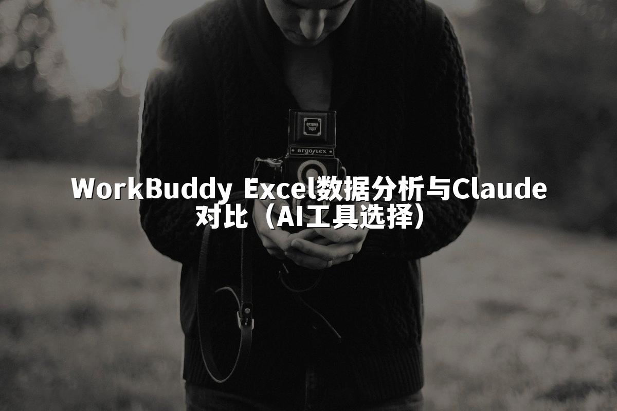 WorkBuddy Excel数据分析与Claude对比(AI工具选择)