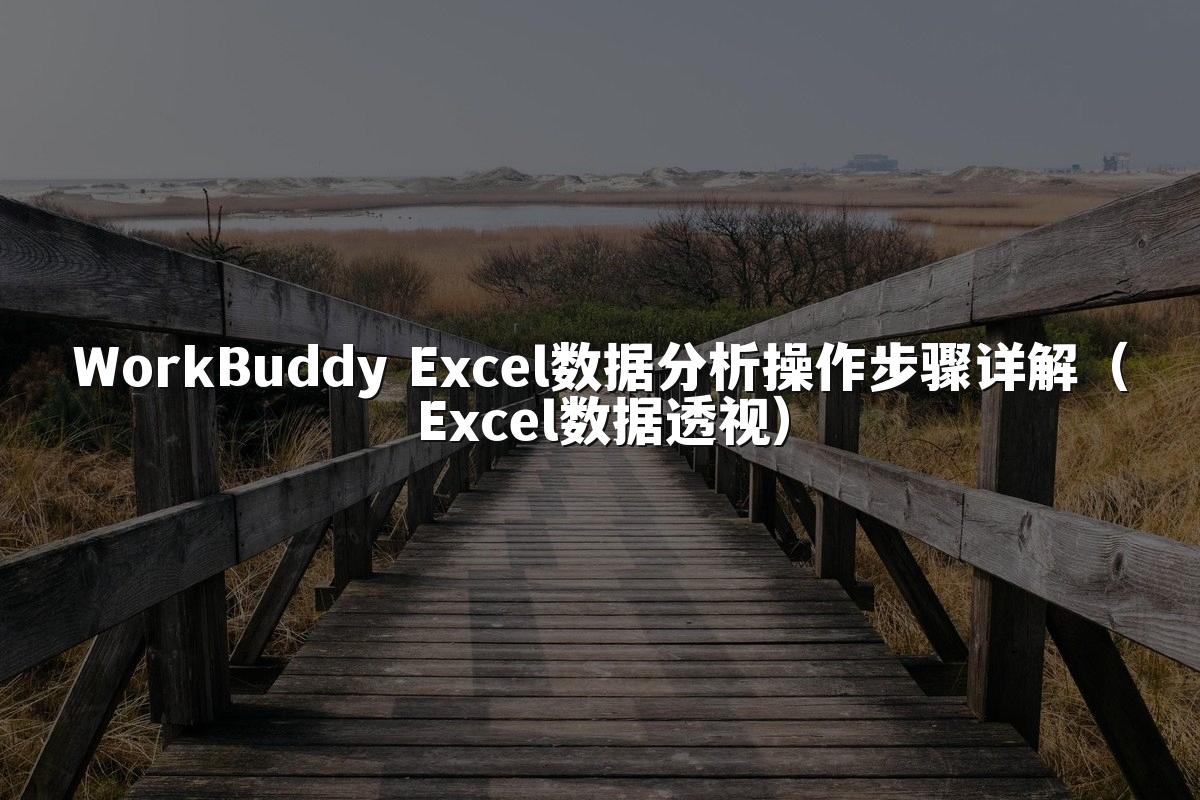 WorkBuddy Excel数据分析操作步骤详解（Excel数据透视）