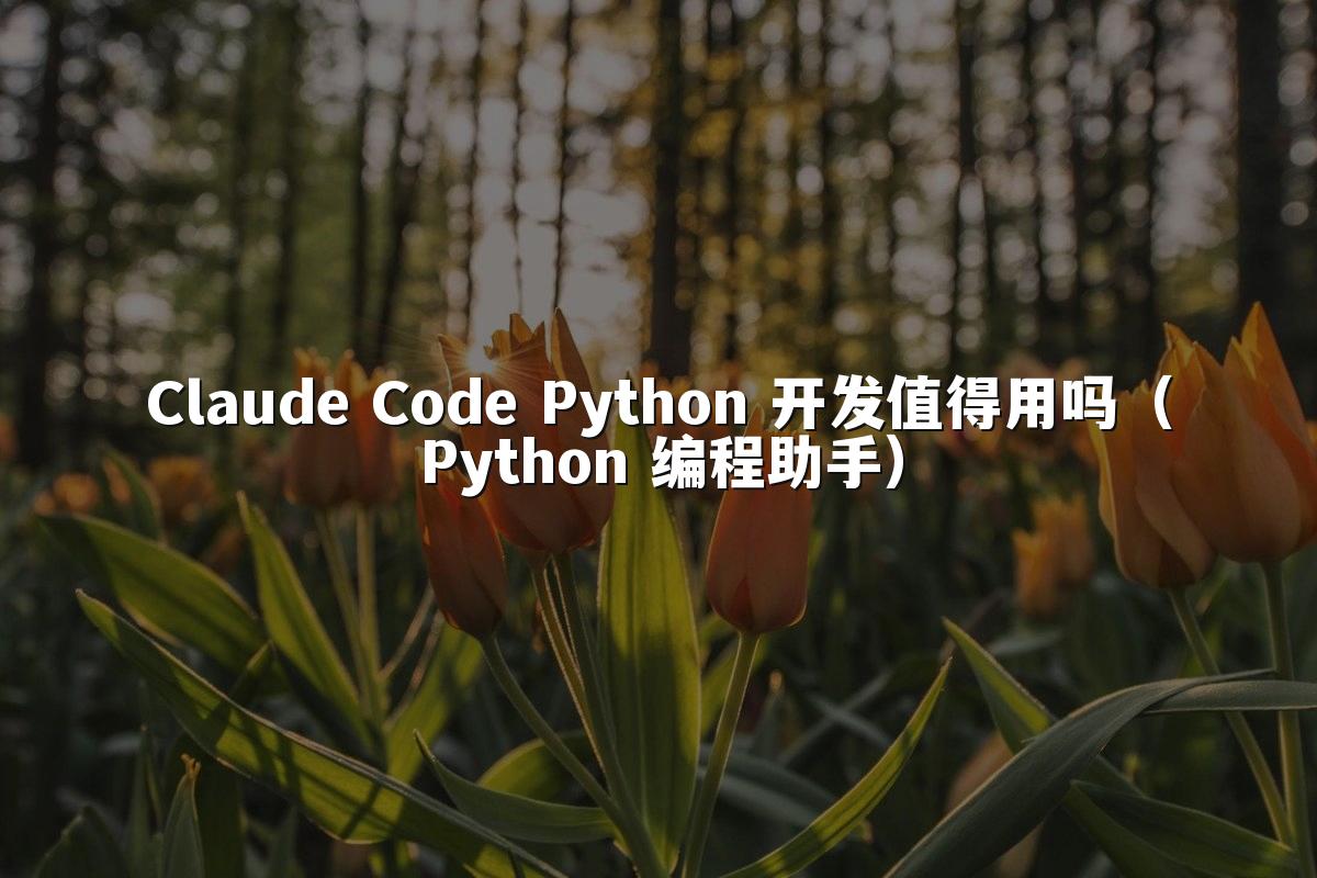 Claude Code Python 开发值得用吗（Python 编程助手）