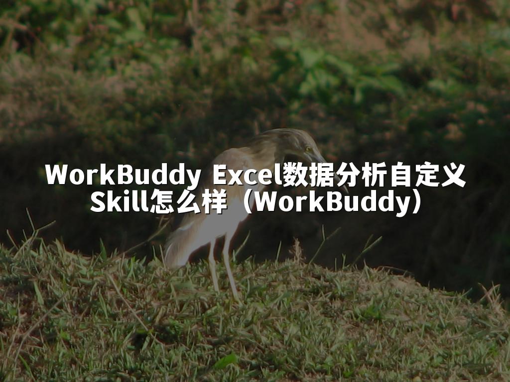 WorkBuddy Excel数据分析自定义Skill怎么样（WorkBuddy）