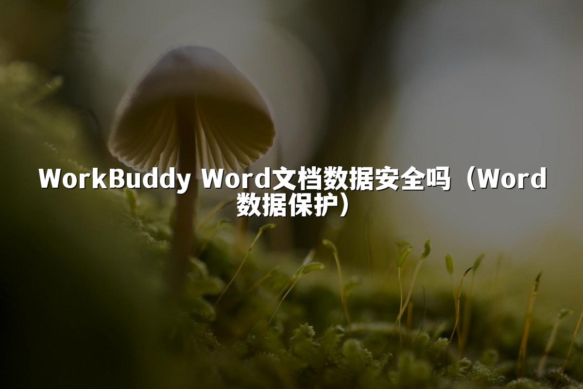WorkBuddy Word文档数据安全吗(Word数据保护)
