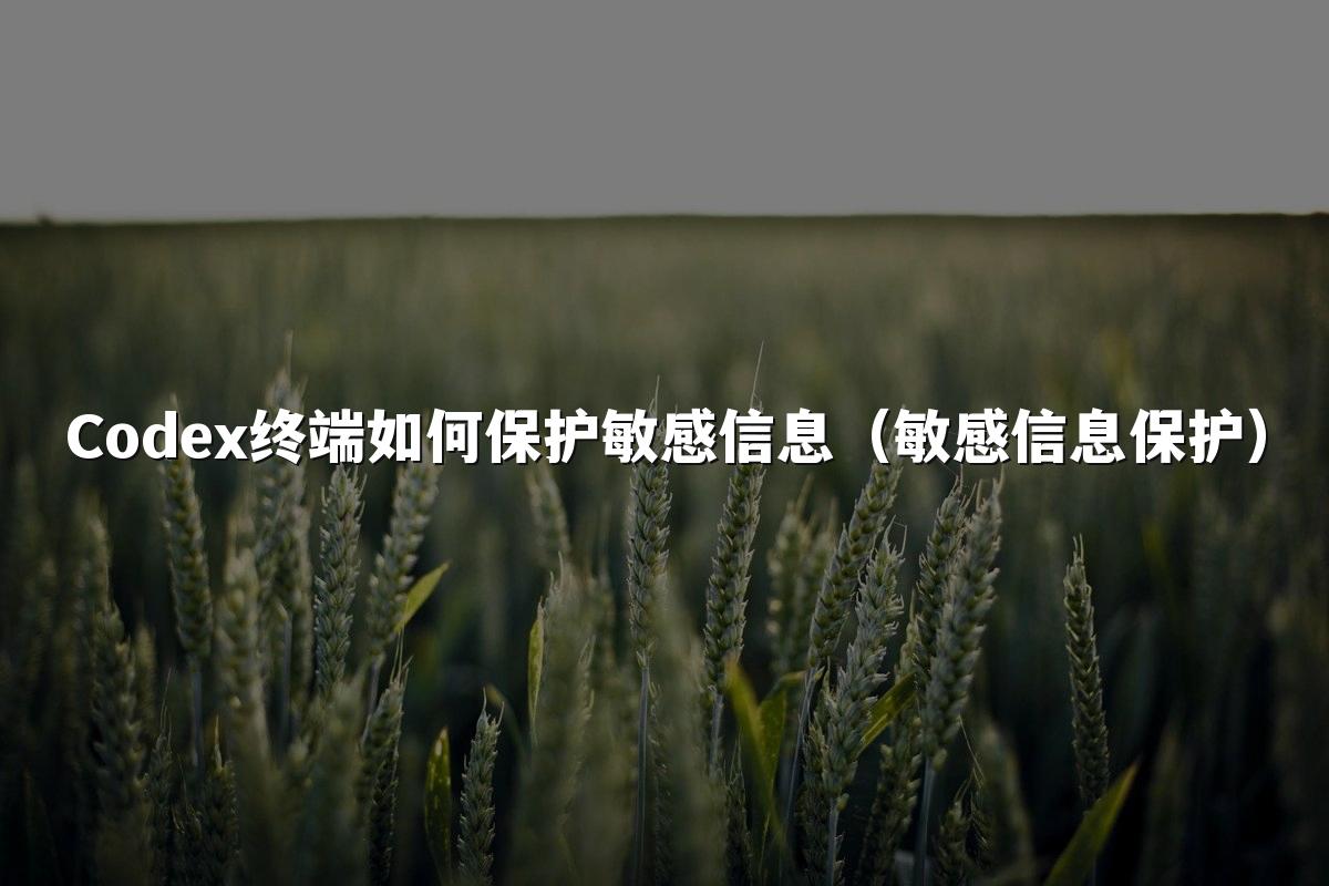 Codex终端如何保护敏感信息（敏感信息保护）