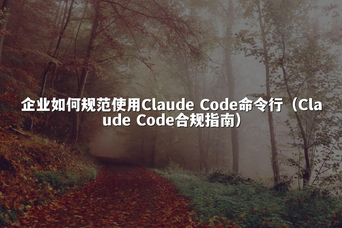 企业如何规范使用Claude Code命令行（Claude Code合规指南）