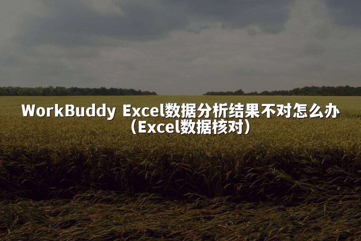 WorkBuddy Excel数据分析结果不对怎么办（Excel数据核对）