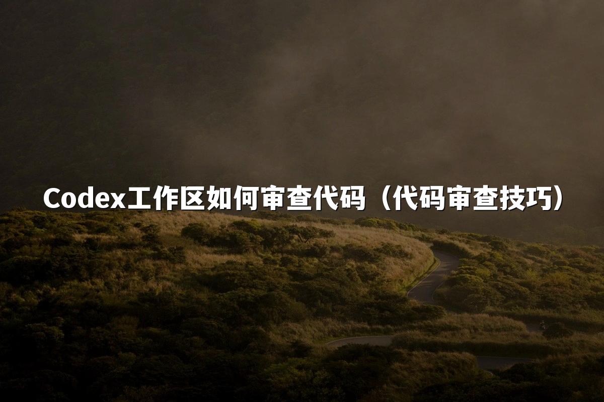 Codex工作区如何审查代码(代码审查技巧)