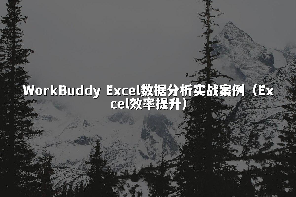 WorkBuddy Excel数据分析实战案例（Excel效率提升）