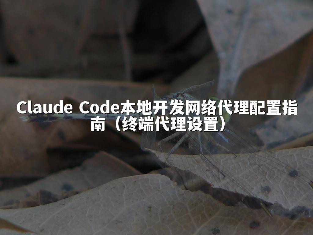 Claude Code本地开发网络代理配置指南(终端代理设置)