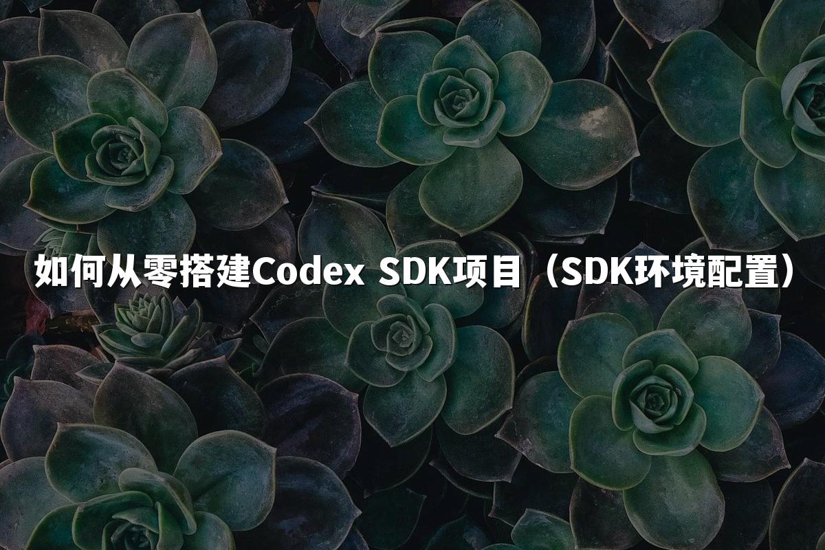 如何从零搭建Codex SDK项目（SDK环境配置）