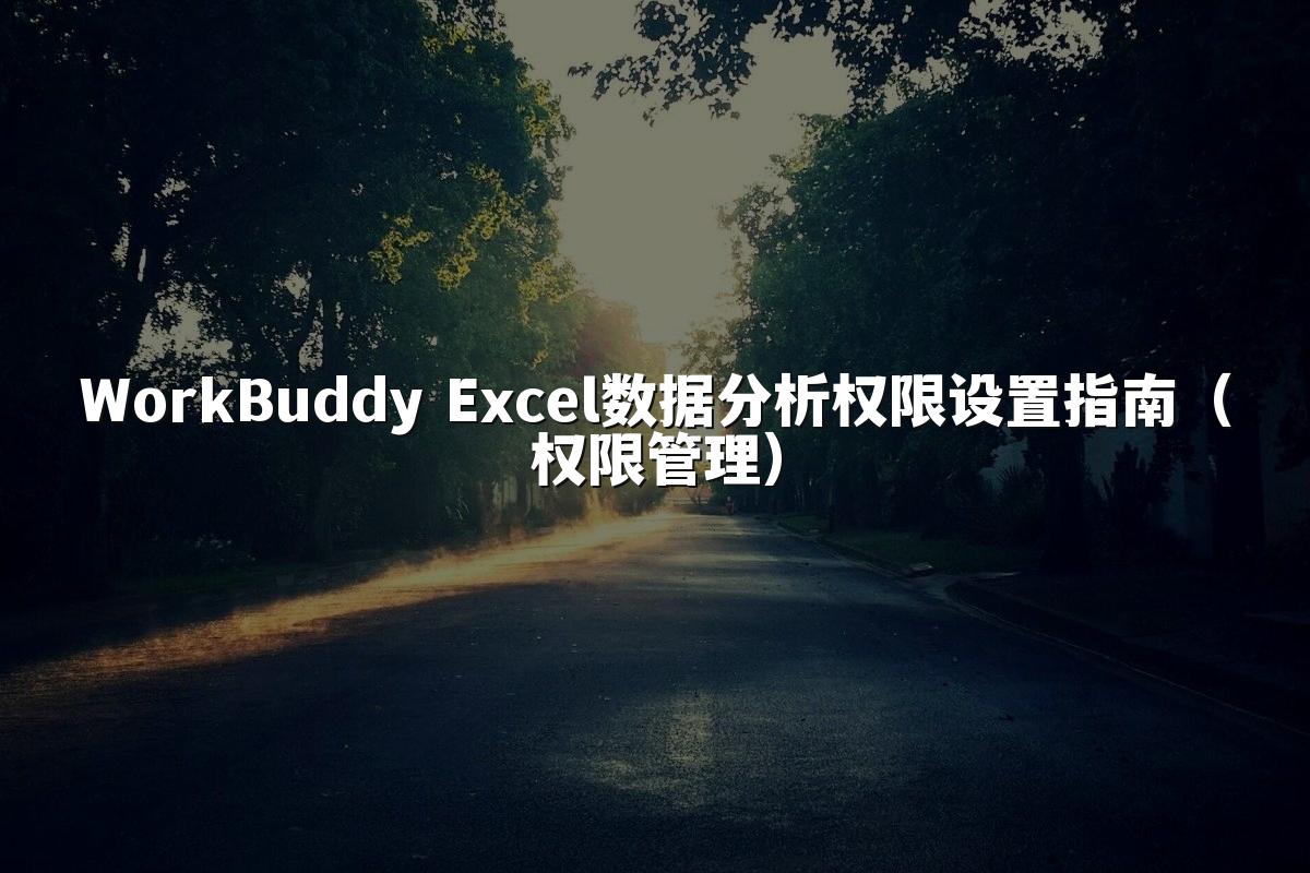 WorkBuddy Excel数据分析权限设置指南(权限管理)