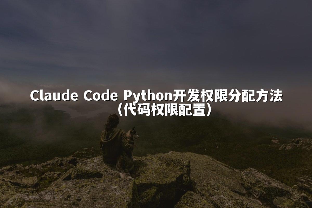 Claude Code Python开发权限分配方法（代码权限配置）