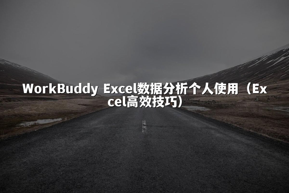 WorkBuddy Excel数据分析个人使用（Excel高效技巧）
