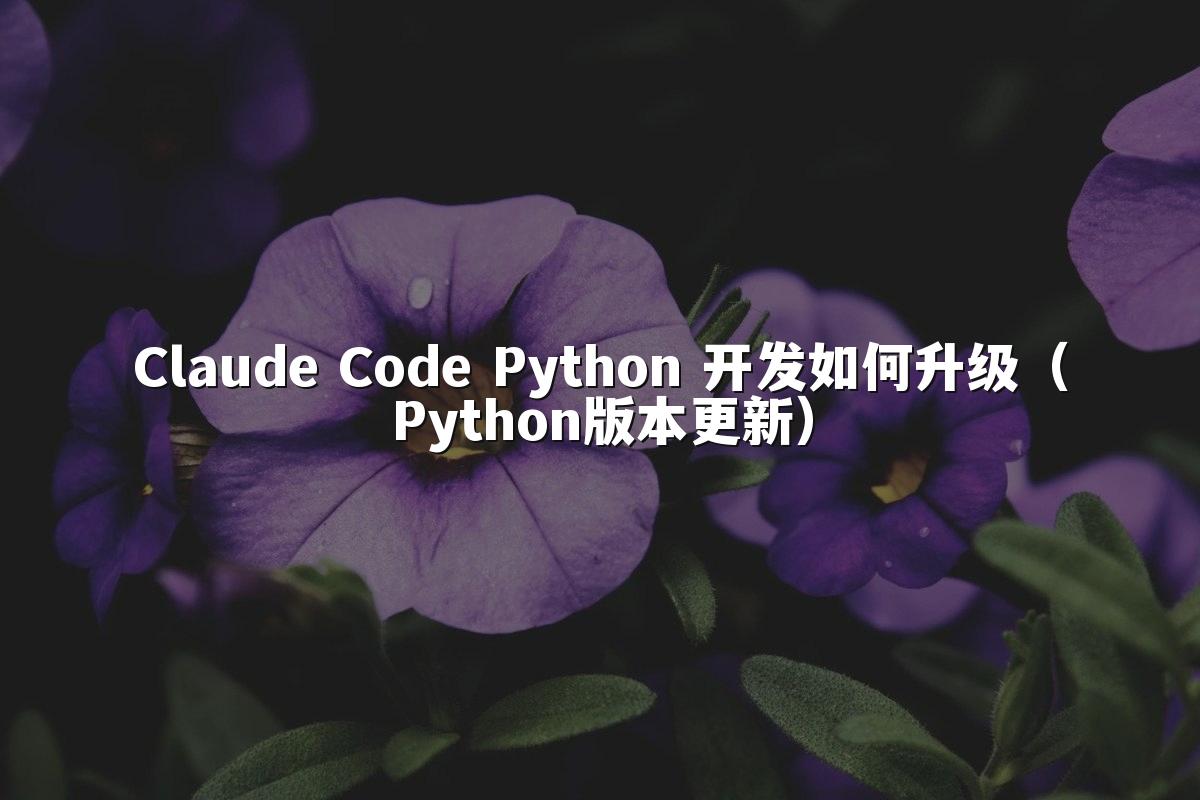 Claude Code Python 开发如何升级（Python版本更新）