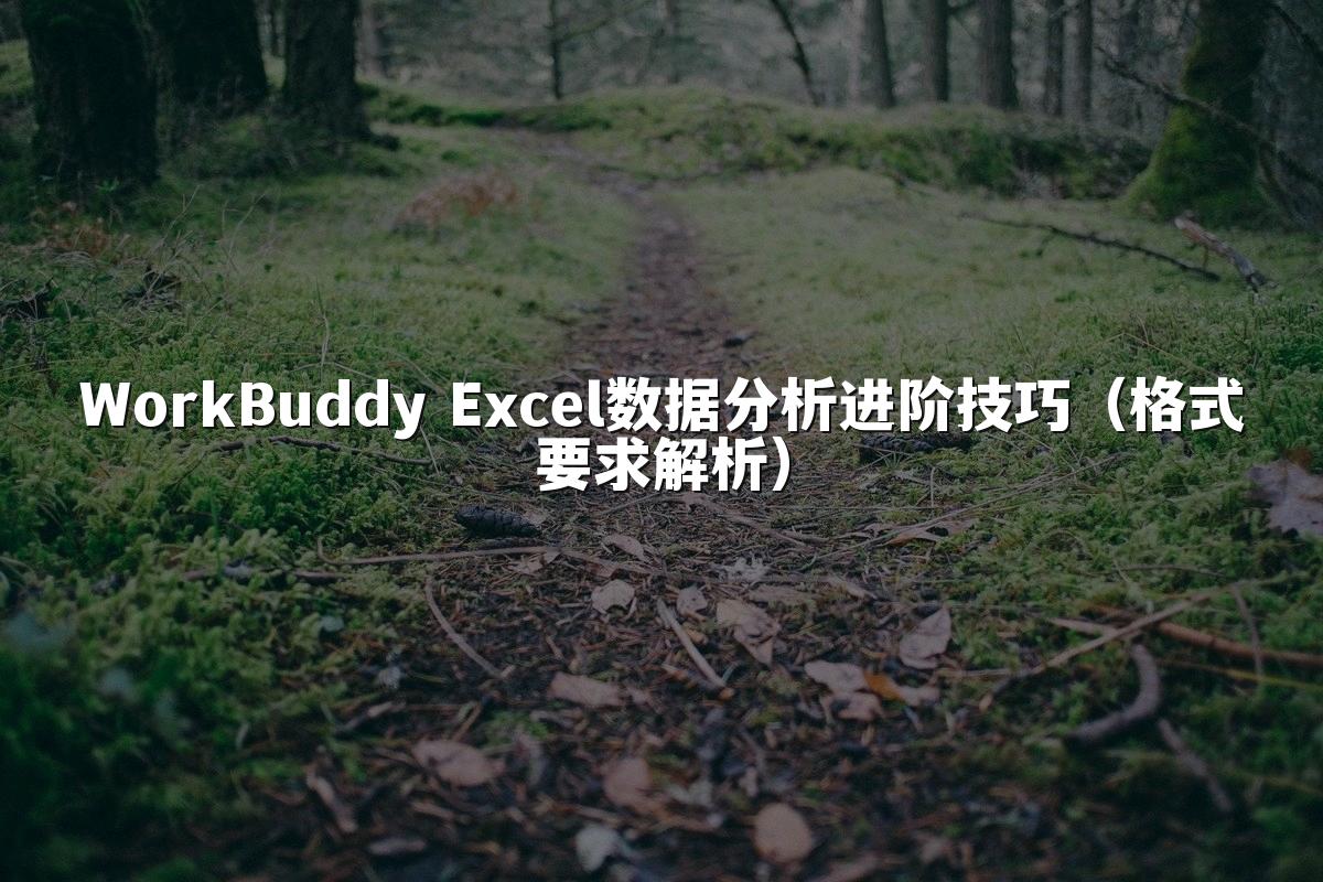 WorkBuddy Excel数据分析进阶技巧（格式要求解析）