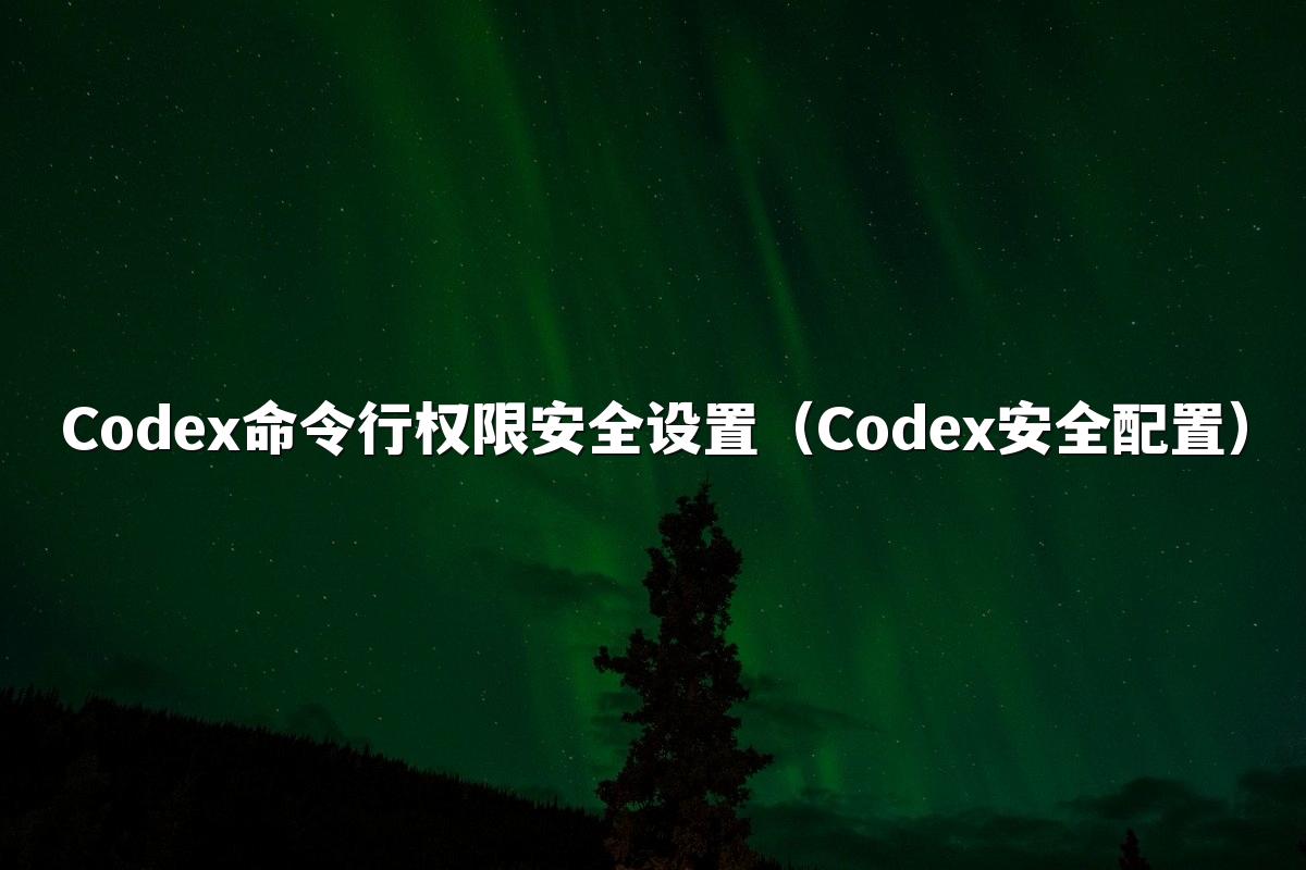 Codex命令行权限安全设置（Codex安全配置）