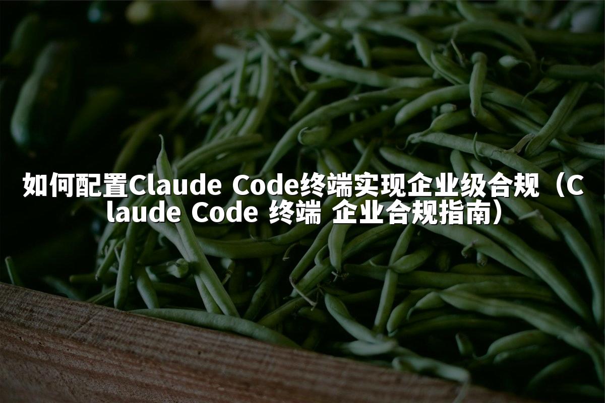 如何配置Claude Code终端实现企业级合规（Claude Code 终端 企业合规指南）