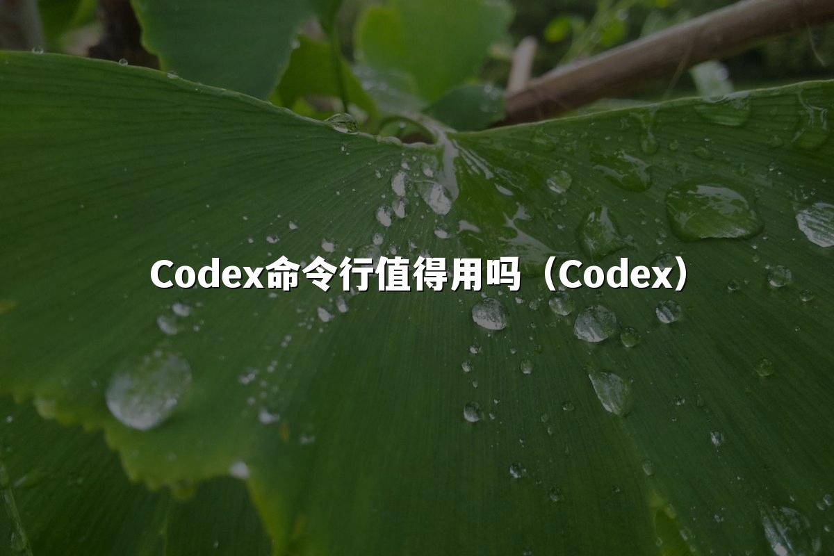 Codex命令行值得用吗(Codex)
