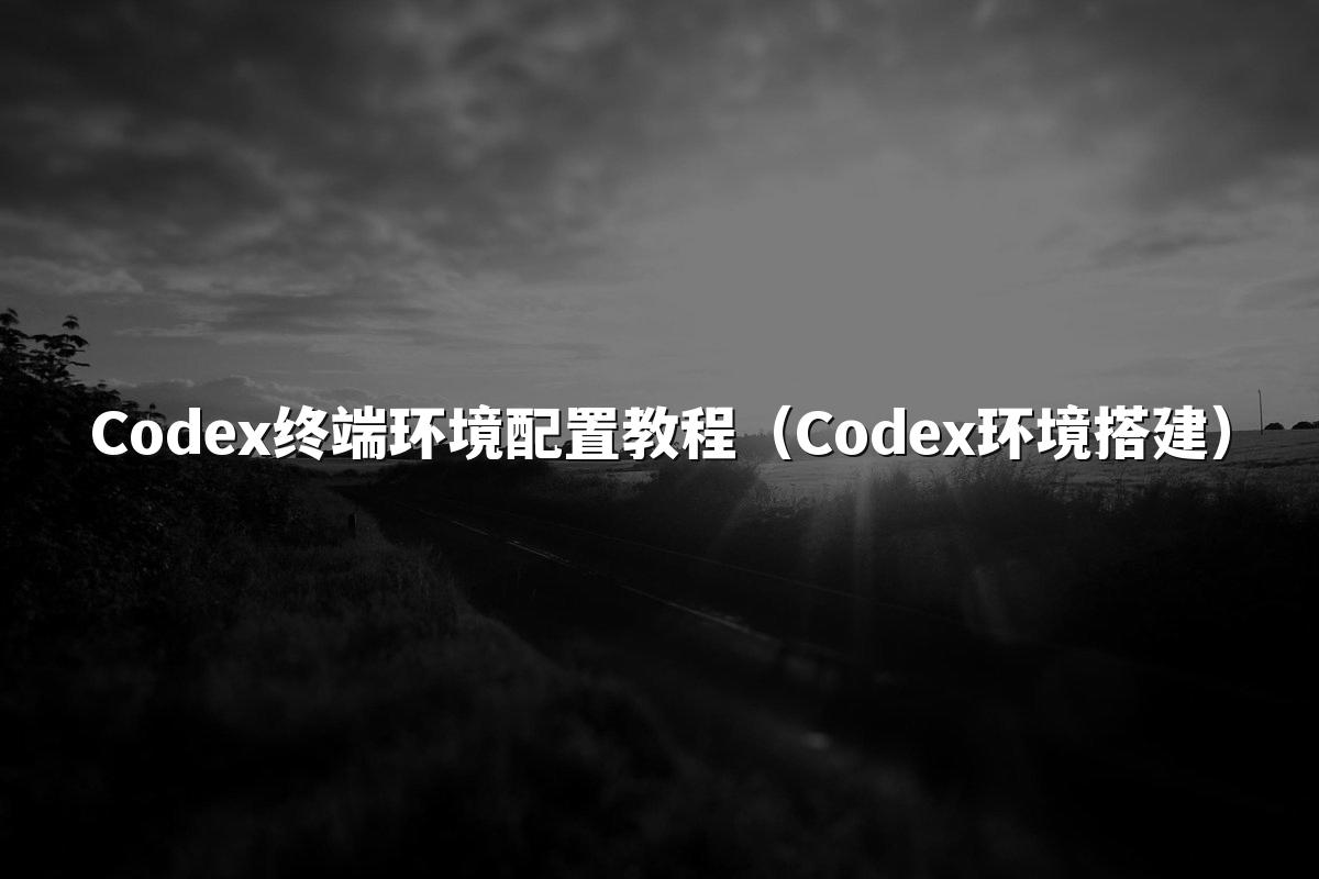 Codex终端环境配置教程（Codex环境搭建）