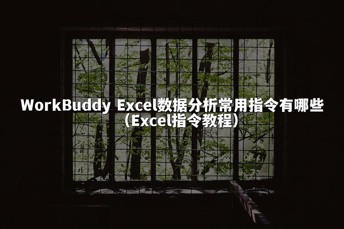 WorkBuddy Excel数据分析常用指令有哪些(Excel指令教程)