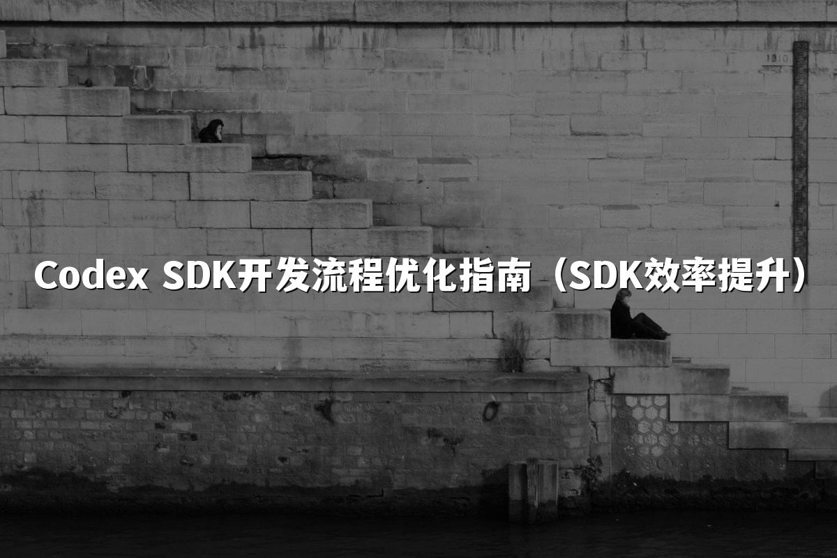 Codex SDK开发流程优化指南（SDK效率提升）