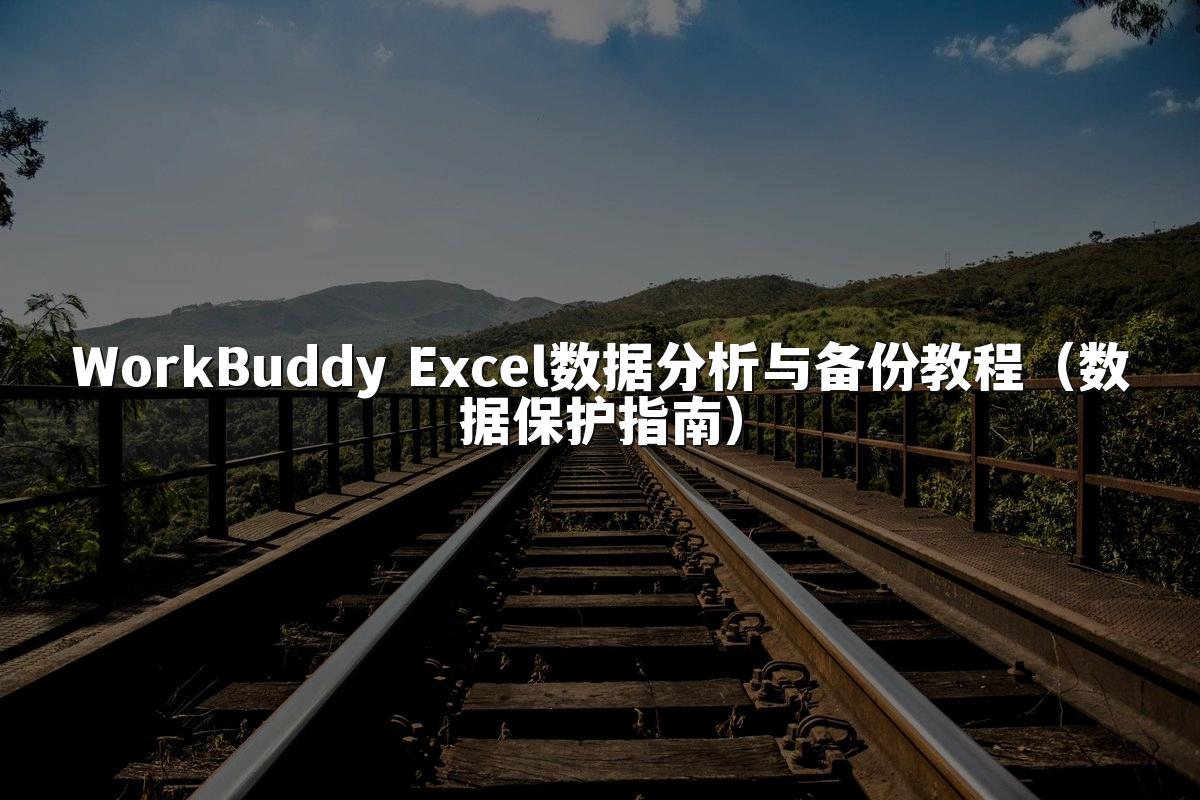 WorkBuddy Excel数据分析与备份教程（数据保护指南）
