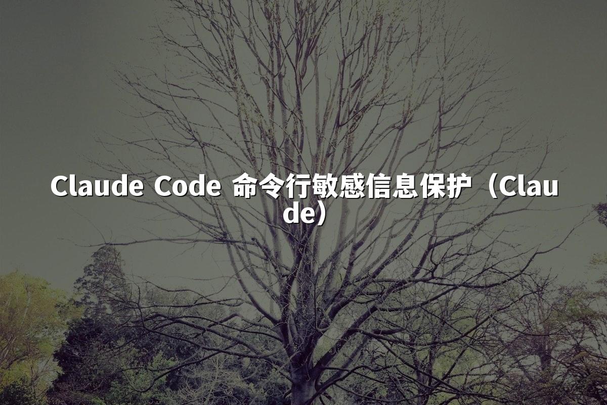 Claude Code 命令行敏感信息保护（Claude）