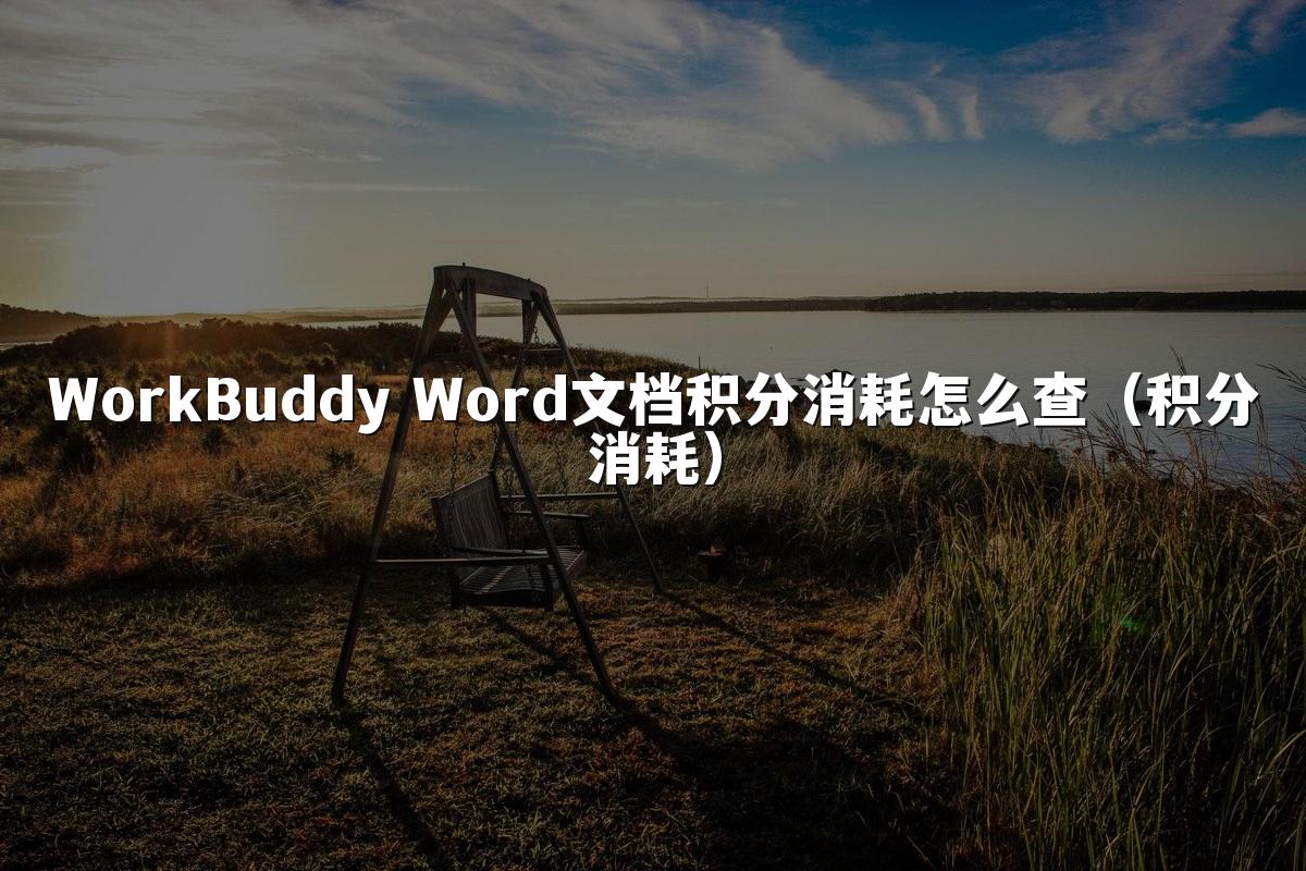 WorkBuddy Word文档积分消耗怎么查(积分消耗)